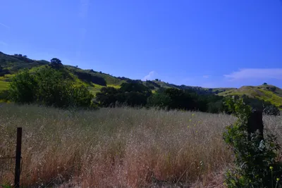 DSC_6131 (Large).JPG